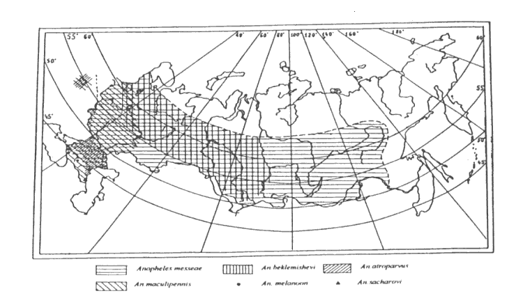 Карта комаров россии